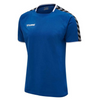 Hummel Short Sleeved Training Tee - Royal