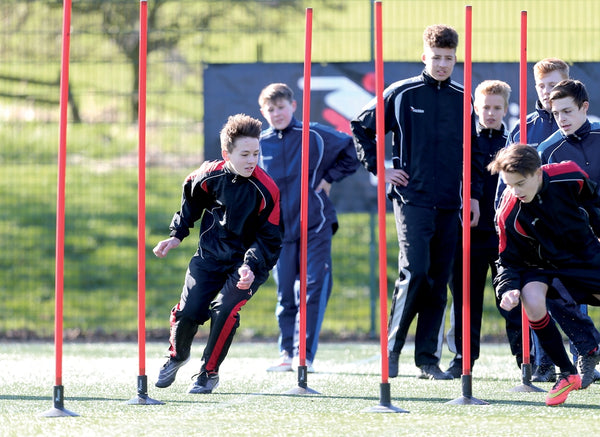 Precision Boundary Poles (Set of 12) -DS