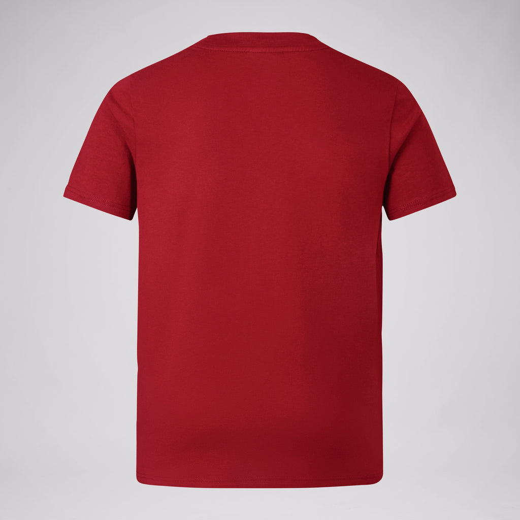 British & Irish Lions - Cotton Tee - Juniors - Red