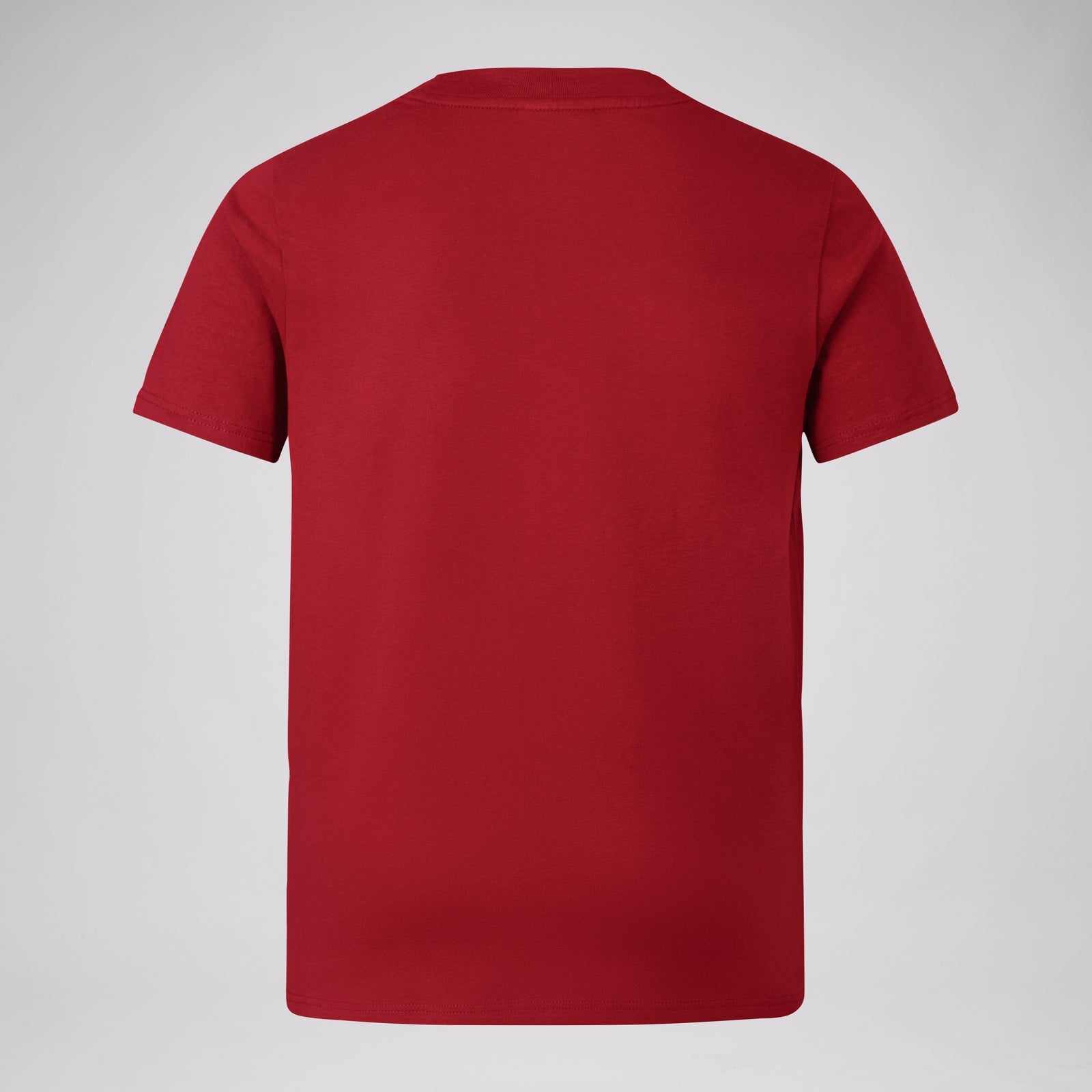 British & Irish Lions - Cotton Tee - Juniors - Red