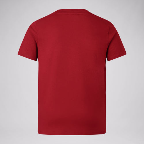 British & Irish Lions - Cotton Tee - Juniors - Red
