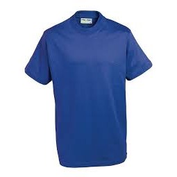 Blue Max Champion T-Shirt - Adults - Royal Blue