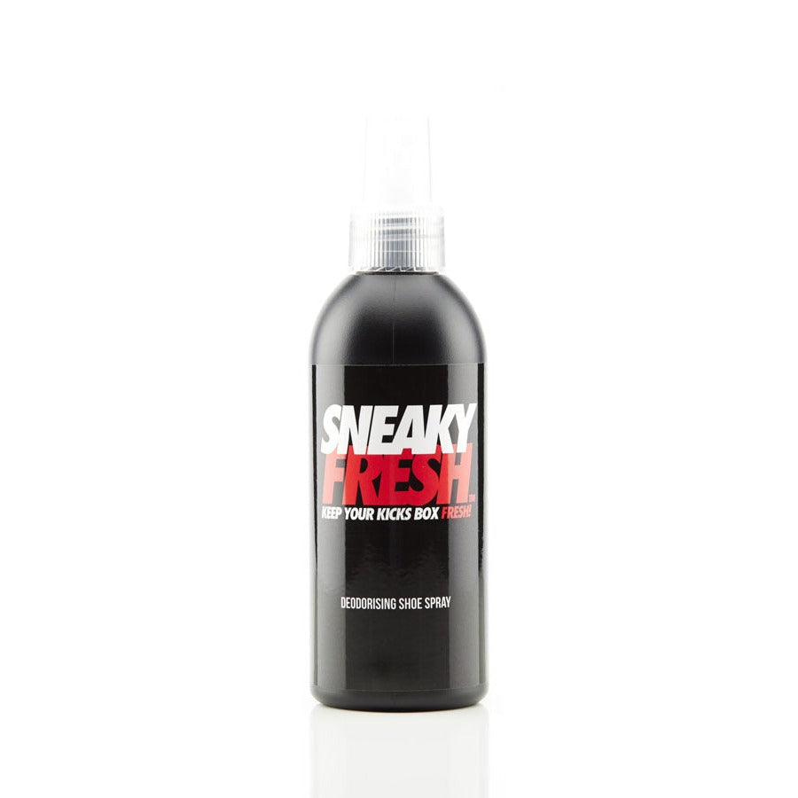 Sneaky Fresh -DS