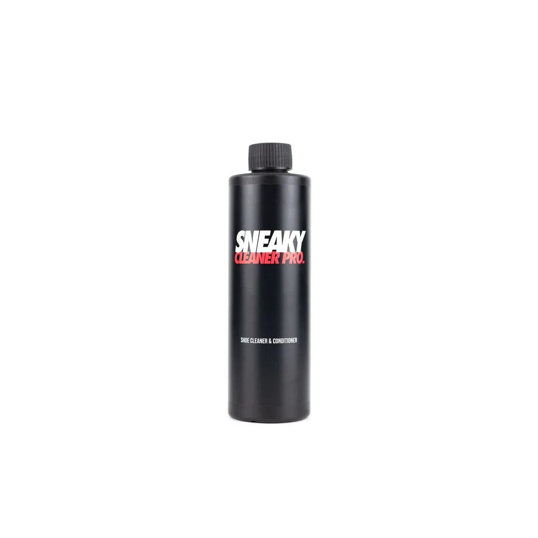 Sneaky Cleaner Pro -DS