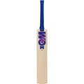 GM Galaxy 404 Cricket Bat -DS