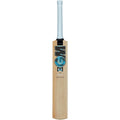 GM Diamond 202 Kashmir Willow Cricket Bat -DS