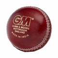 GM Catalyst Cricket Ball -DS