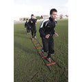 Precision Speed Ladder 4M -DS