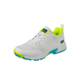 GM Aion All Rounder Rubber Cricket Shoes -DS