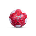 Team Merchandise 4inch Miniball -DS