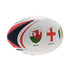 files/InternationalTournamentThemedRugbyBall_2.jpg