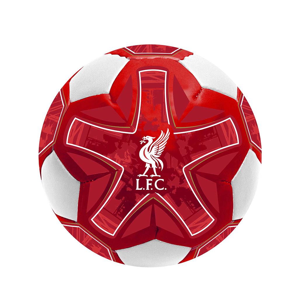 Team Merchandise 4inch Miniball -DS