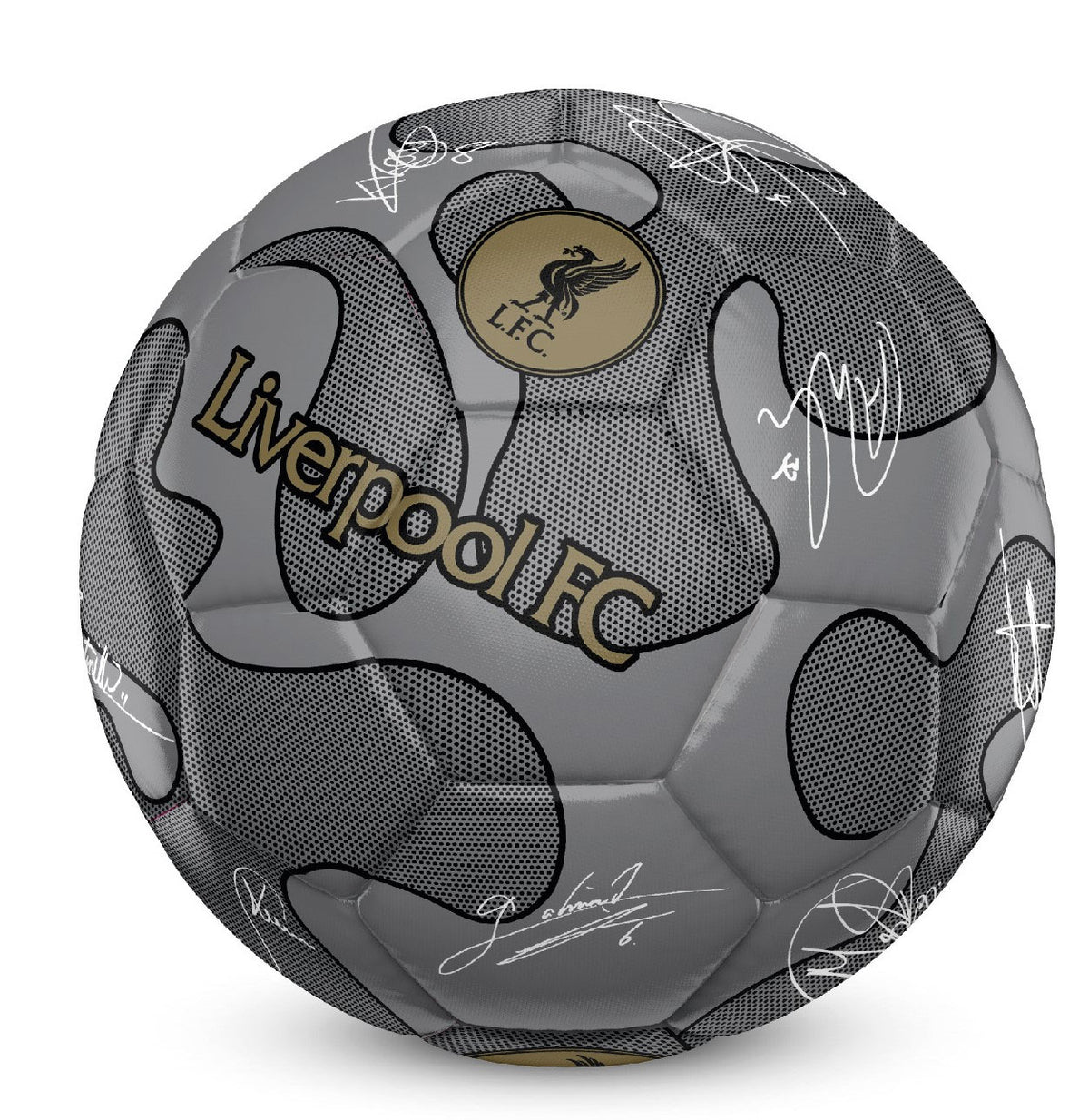 Team Merchandise 32 Panel Camo Signature Football -DS