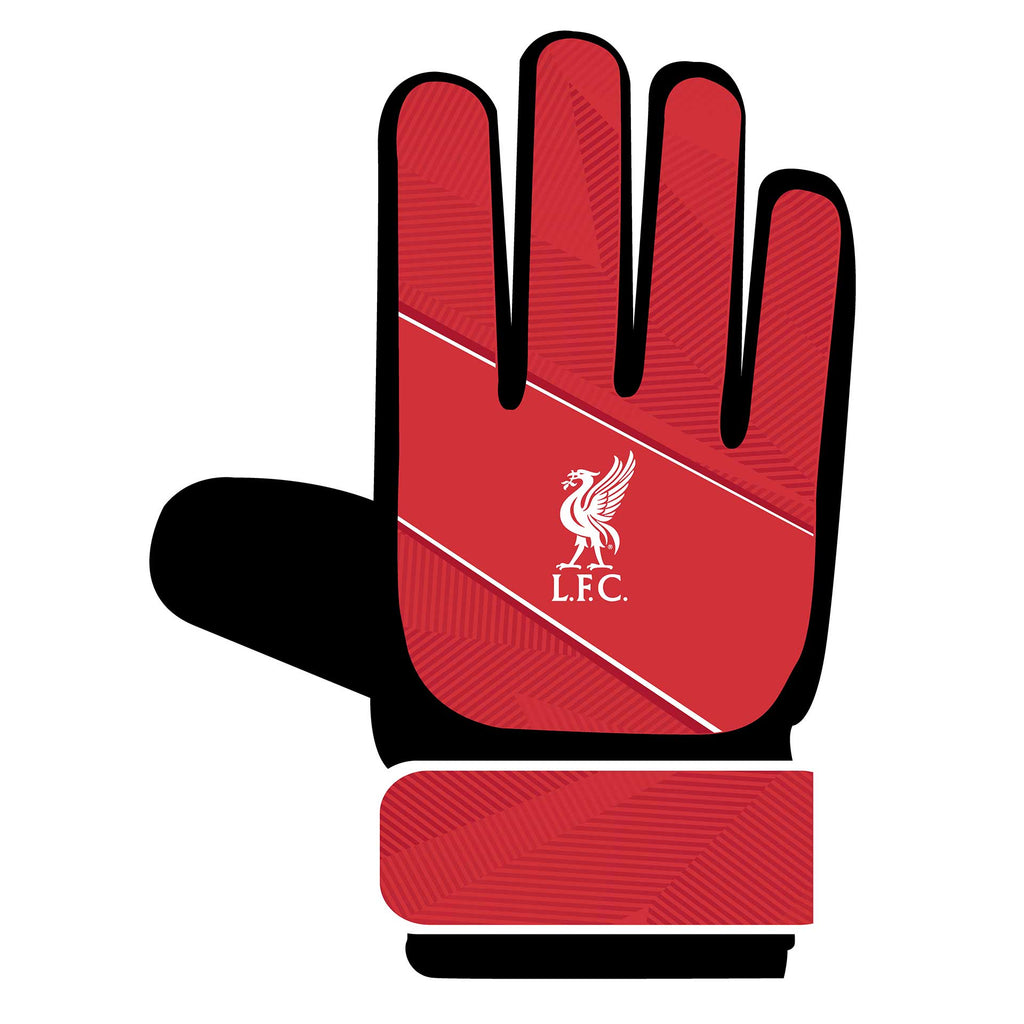 Team Merchandise Goalkeepers Gloves -DS
