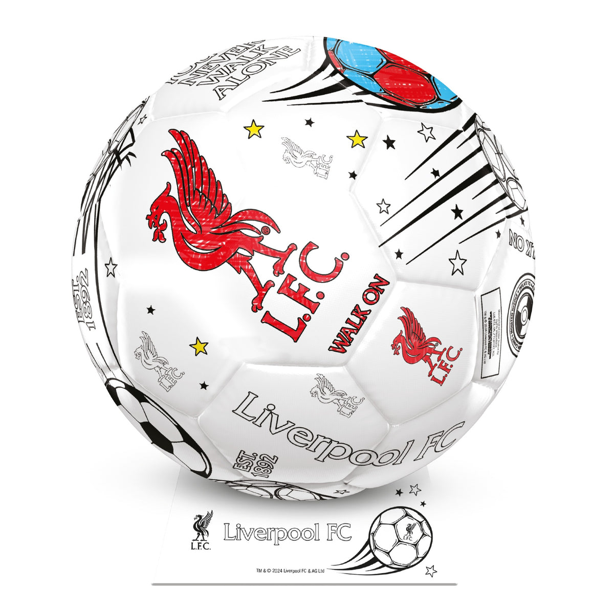 Team Merchandise Colour In Ball -DS