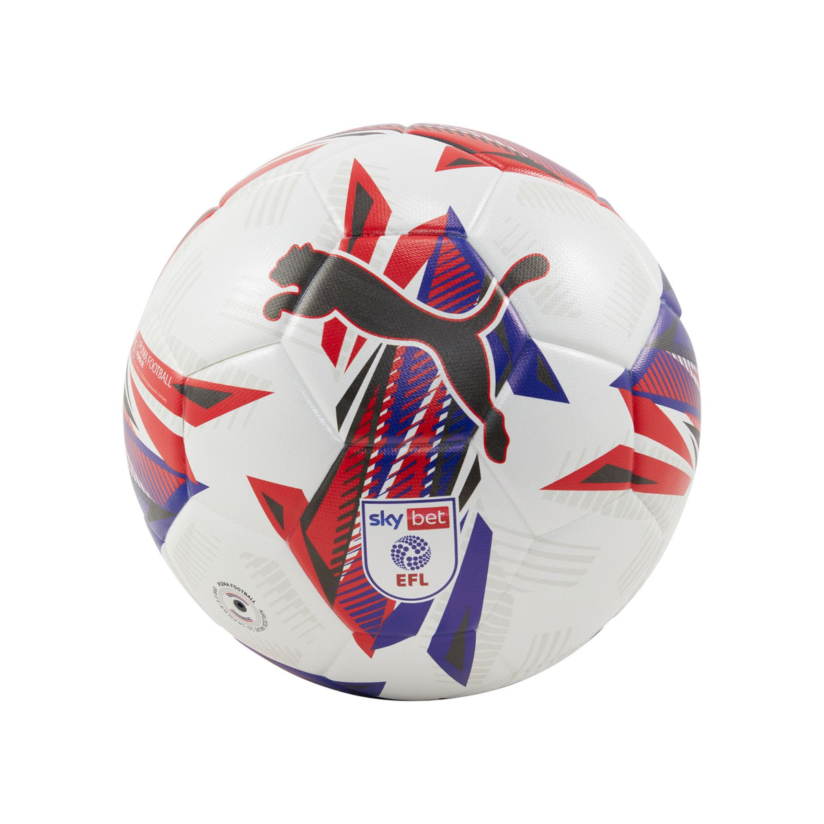Puma Orbita 3 Sky Bet EFL Football 24/25 -DS