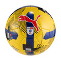 Puma Orbita 6 EFL Sky Bet Training Football 25/26 -DS