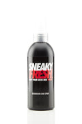 Sneaky Fresh -DS