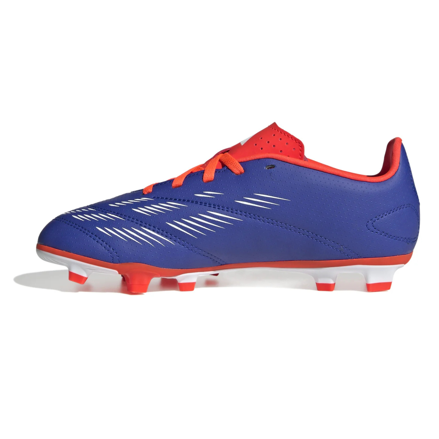 Adidas Predator Club FxG - Adults- Blue