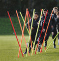 Precision Boundary Poles Set of 12 -DS