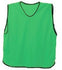 Precision Training Mesh Bib - Green