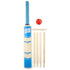 Powerplay 2020 Deluxe Size 3 Cricket Set -DS