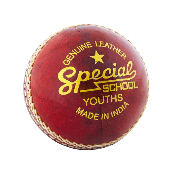 Readers Special School Cricket Ball -DS