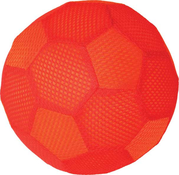 Indoor Funball  -DS
