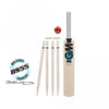 GM Diamond Cricket Set -DS