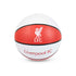 Liverpool Basketball-DS