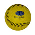 Wilks Force Soft Softball Ball -DS